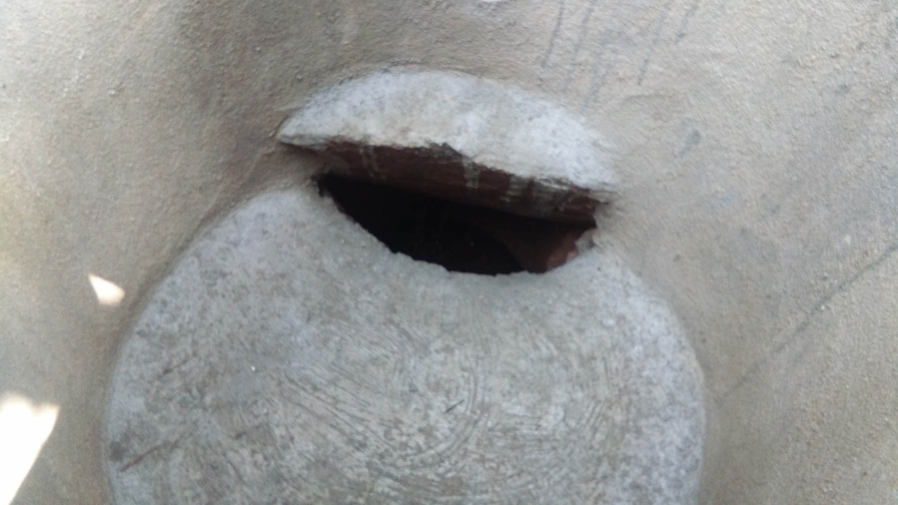 ಸೂಡಾದಲ್ಲಿ ಬೃಹತ್‌ ಶಿಲಾಯುಗದ ‘ಗುಹಾ ಸಮಾಧಿ’ ಪತ್ತೆ